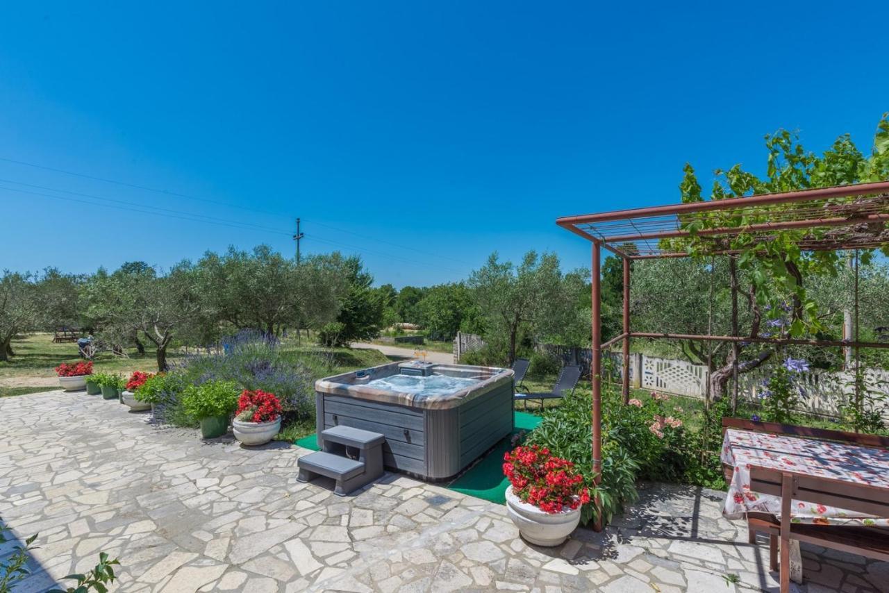 Ferienhaus Zora With Whirlpool Sveti Lovreč Pazenatički Extérieur photo